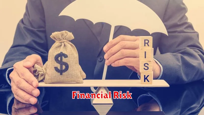 Financial Risk