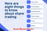 Stock Market Basics